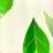 Green leaf icon for eco-friendly